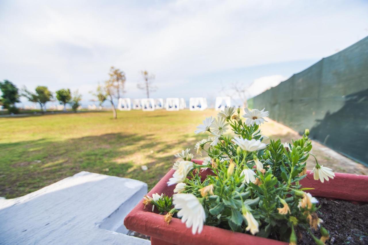 Sandy Beach Houses - Sea View Kávos Екстериор снимка